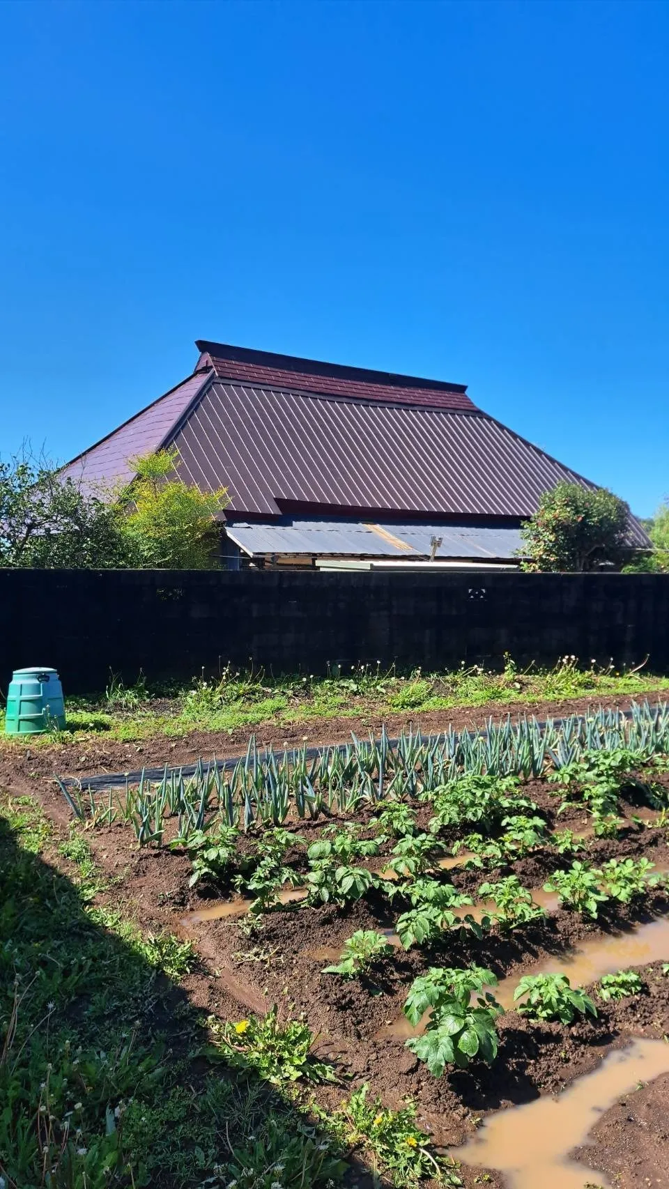 栃木市 屋根修理